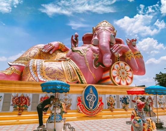 半日ピンクガネーシャ直行往復バス